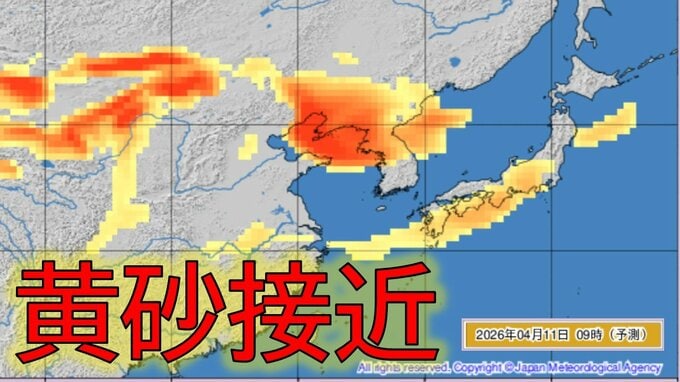 【黄砂情報】11日ー12日に日本に黄砂接近か　いつどのあたりに？気象庁が予測【黄砂シミュレーション】|TBS NEWS DIG