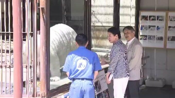 天皇皇后両陛下　愛媛県立とべ動物園でホッキョクグマ「ピース」と対面|TBS NEWS DIG