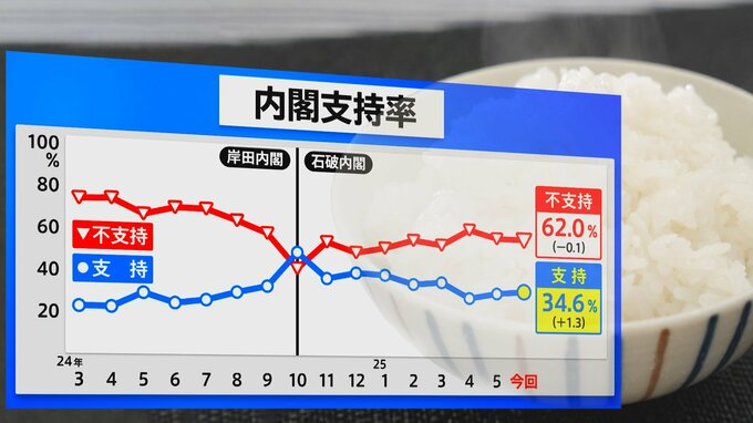 国民民主の失速、“進次郎効果”で主戦論も　内閣不信任案で解散はあるのか？|TBS NEWS DIG