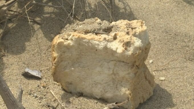 深まる謎…共通点は？「食パン」日本の渚・百選　白兎海岸でも見つかる「左右それぞれ5個くらいあって、合計10個くらいありました」国立公園・大山で大量の「食パン」投棄と同じ時期に…鳥取県|TBS NEWS DIG