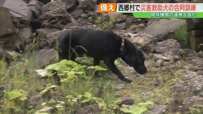 「探せ！」現場のかすかな臭いを頼りに…地震想定、災害救助犬の訓練　福島|TBS NEWS DIG