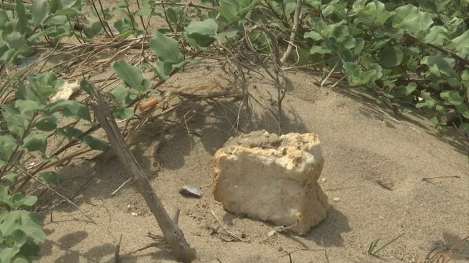大量「食パン」不法投棄問題…国立公園大山と白兎海岸周辺の食パンは“別物”と判明「スーパーの陳列棚みたいに大量に、その向こう側にクマが…」生成AIを使った“フェイク画像”も複数確認|TBS NEWS DIG