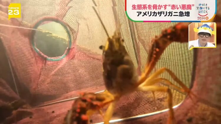 img_9b236ed1cbfea3def2f6ef750e