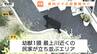 河北町の民家近くで子グマ目撃　これからクマが活発になる時期に…「クマ出没特別警報」新設など県が対策進める（山形）　|　山形のニュース│TUYテレビユー山形