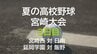 夏の高校野球宮崎大会3日目　宮崎西 対 日南　延岡学園 対 飯野　|　MRTニュース ｜ ＭＲＴ宮崎放送