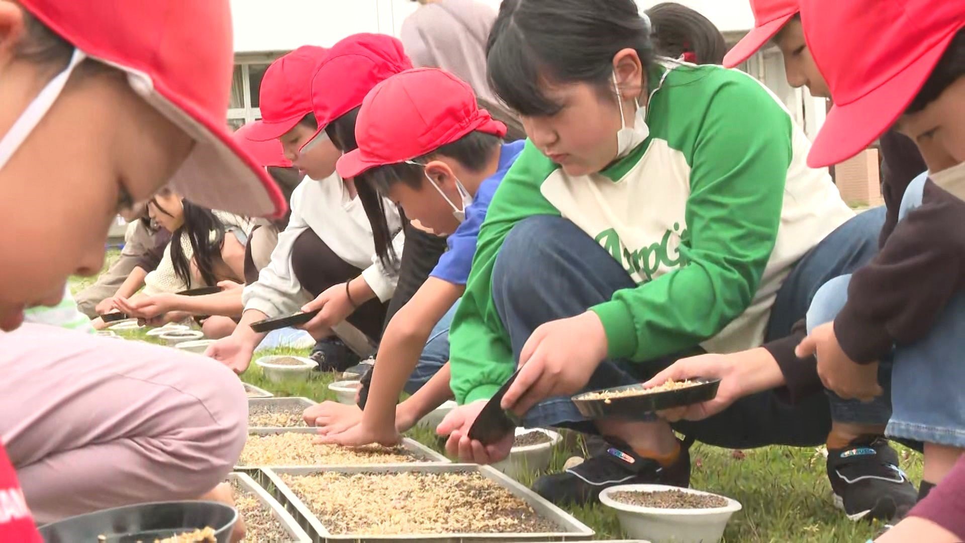 学校で児童が苗床づくり　稲の種まきを体験して米作りを学ぶ　大分・杵築市