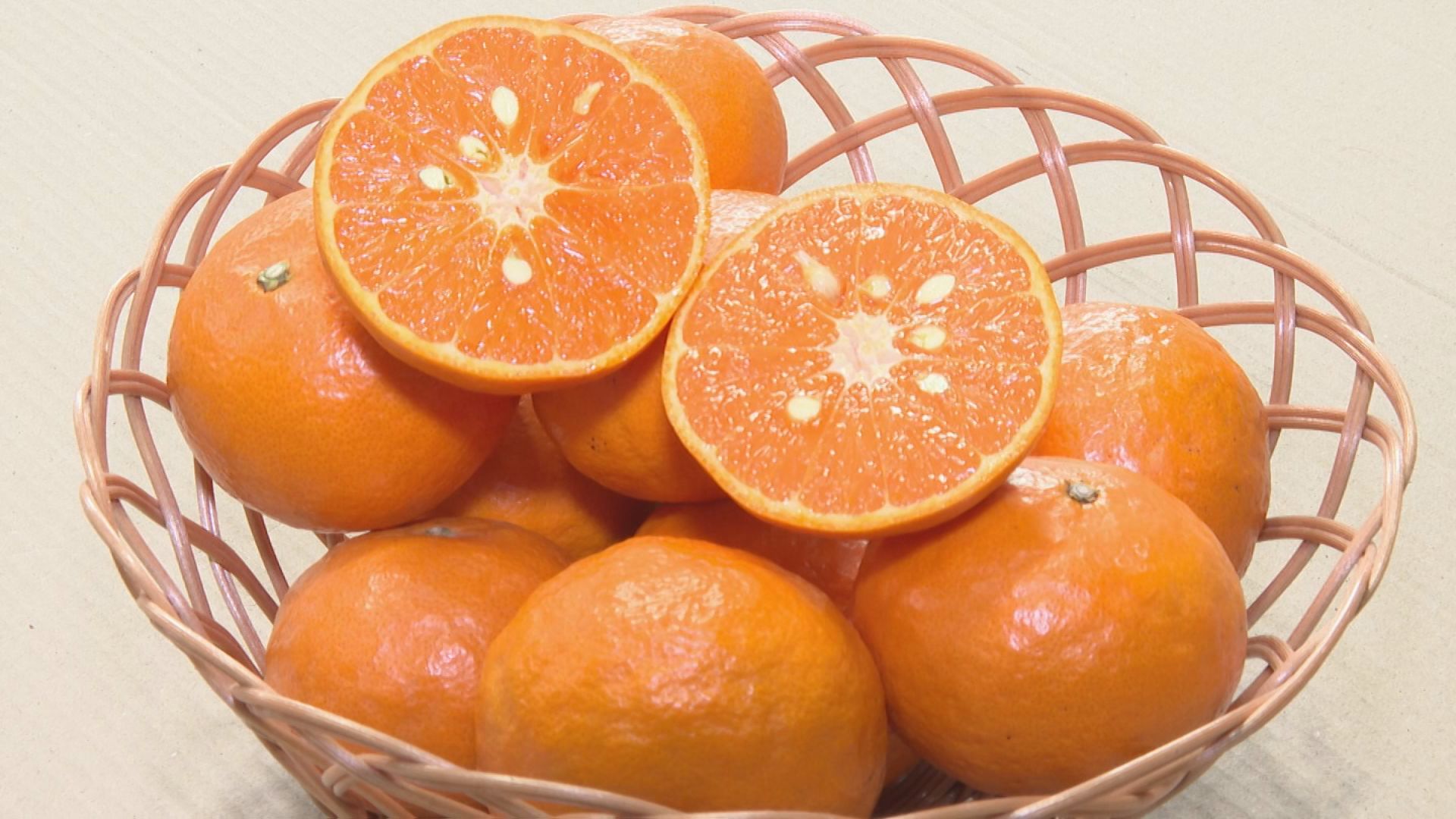 春の高級ミカン「カラマンダリン」の出荷最盛期　三重・御浜町