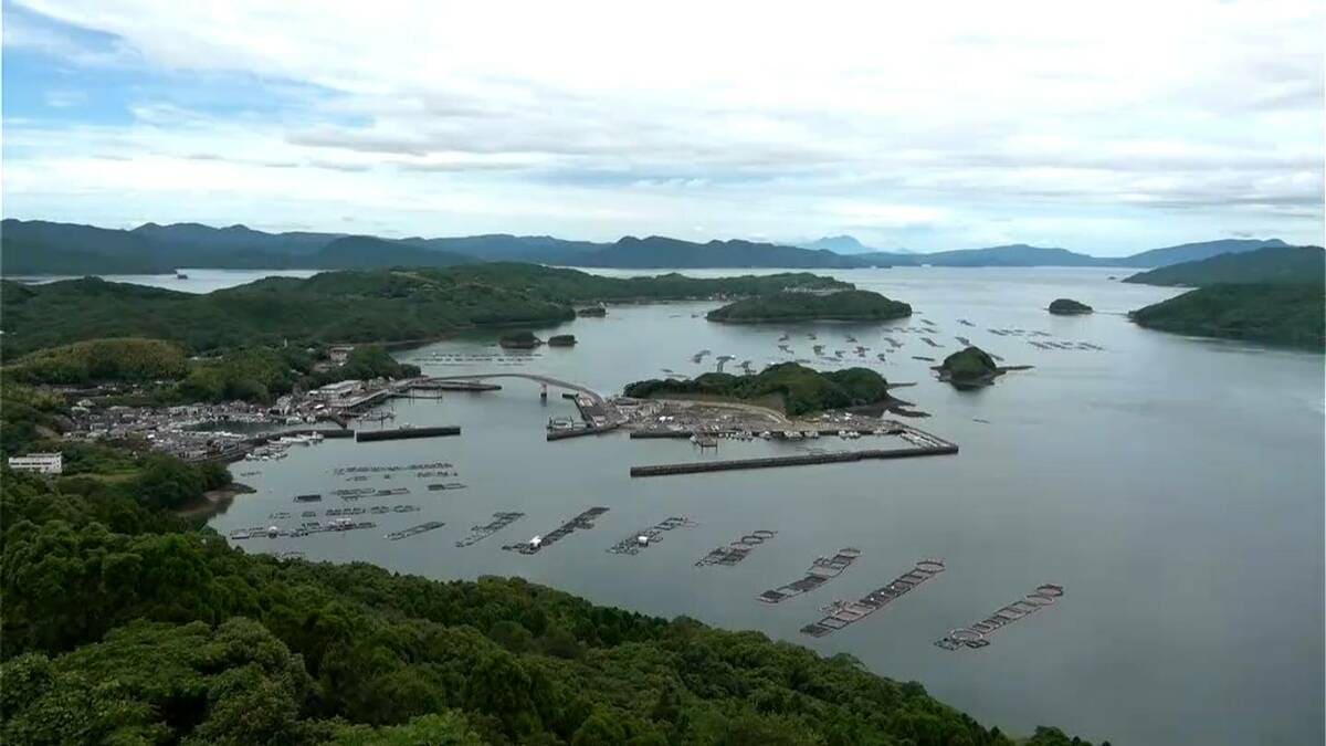 八代海の赤潮被害24億円に　過去2番目の被害額　鹿児島