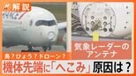 パリ行きの旅客機機体に大きな“へこみ” 一体何が?考えられる原因は「バードストライク」【Nスタ解説】|TBS NEWS DIG