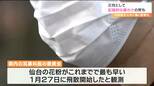 仙台の花粉「過去最も早い1月27日に飛び始め」各地で今年一番の暖かさを更新“花粉に悩む人も” tbc気象台|TBS NEWS DIG