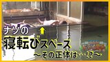 ナゾの「寝転びスペース」がある温泉 そこで体験できる“陶板浴”とは?【青森の温泉・銭湯へドライ風呂16軒目】 | 青森のニュース│ATV NEWS│青森テレビ