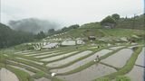棚田百選の一つ「丸山千枚田」で オーナーの家族らが田植え 三重県熊野市で悪天候の中 | 名古屋・愛知・岐阜・三重のニュース【CBC news】 | CBC web