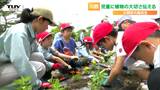 専門用語は極力禁止！ 園芸を学ぶ高校生が児童に花の植え方を教える　一緒に植えたのはマリーゴールドなど130株！（山形・川西町）　|　山形のニュース│TUYテレビユー山形
