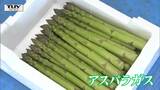 太い＝茹でて！細い＝漬物で！　アスパラガスが旬に 今年は大きなひょう被害なし　|　山形のニュース│TUYテレビユー山形