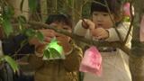 笑顔がともる「ひかりの実」が道後を彩る 子どもたちが大切な人の笑顔を思いデザイン【愛媛】 | 愛媛のニュース - Nスタえひめ|あいテレビは6チャンネル