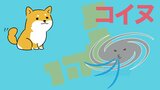台風14号の名前は「コイヌ」 台風の名前ってどうやって決まるの?? 台風140個の名前 “掲載” | 熊本のニュース|RKK NEWS|RKK熊本放送