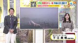【あす10/3(木) 広島天気】あすも本降りの雨の予想　止み間はあるも大きめの傘が良さそう　日中あすも肌寒い|TBS NEWS DIG