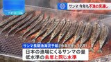 不漁が続くサンマ　日本の漁場にくる量は「去年と同じ低い水準になる」水産庁|TBS NEWS DIG