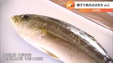 「パパへのプレゼント」 父の日に親子で魚のさばき体験(静岡県)|TBS NEWS DIG