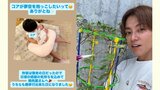 【杉浦太陽】妹・夢空（ゆめあ）ちゃんを抱っこする3男・幸空（こあ）くんの兄妹写真を公開 兄としての姿に「ありがとね」|TBS NEWS DIG