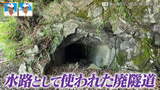 車が通れない県道に眠る“廃隧道” 県道745号はもともと水路だった?廃隧道の正体 道との遭遇 | 名古屋・愛知・岐阜・三重のニュース【CBC news】 | CBC web