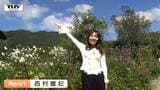 秋の花が見頃!蔵王ペンション村「オープンガーデン」の見どころは?10月18日まで開催(山形・上山市)|TBS NEWS DIG