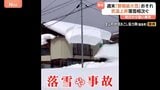全国的に3月並みのぽかぽか陽気 「寒紅梅」見ごろも落雪・雪崩に注意　選挙の週末「警報級大雪」のおそれ|TBS NEWS DIG