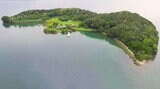 大スケール!“無人島貸し切り”の「キャンプ場」がスゴすぎる【ラヴィット!】|TBS NEWS DIG