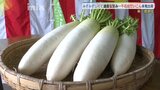 組合長オススメはダイコンギョーザ？「千石台だいこん」出荷始まる|TBS NEWS DIG
