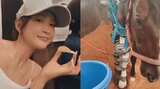 【紗栄子】ファームの愛馬「ボルト」右前脚骨折に「ハーネスで吊るす」対応 動物たちの「セカンドライフ」をケア|TBS NEWS DIG