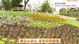 春の五台山を満喫 フラワーイベント”春らんまん まきの花物語“ 25日から | 高知のニュース・天気|KUTV NEWS | KUTVテレビ高知