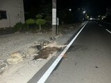 「選挙カーが電柱にぶつかっている」県知事選の新人候補を支援する団体の街頭宣伝車が電柱に衝突 県議と運動員合わせて3人が重傷 候補者は乗車しておらず 長野・駒ヶ根市|TBS NEWS DIG