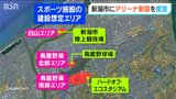 「中心部にはコンサートもできるアリーナ新設を」新潟市のスポーツ施設“20年後の構想” “3つのエリア”をどうする?|TBS NEWS DIG