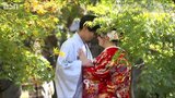 「初デートに来た場所です…」カメラマンも魅せられた『もみじ園』 | 新潟のニュース・天気|BSN NEWS|BSN新潟放送