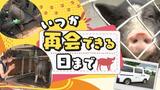 ブタは飼い主を待っています“落とし物のブタ”が警察署→保護施設にお引っ越し | 福岡のニュース|RKB NEWS|RKB毎日放送