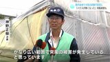 「バリバリと屋根がはがれた」ビニールハウスはぐにゃりと曲がり…高知の突風被害は「竜巻の可能性高い」気象台が判断 | 高知のニュース・天気|KUTV NEWS | KUTVテレビ高知