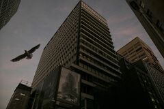 豪中銀３月から新体制、女性委員が大半－フライマッキビン氏ら起用へ| TBS CROSS DIG with Bloomberg