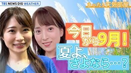 【ライブ】改めて考えよう！いざという時役立つ防災術 / 残暑は？台風は？気になるこの先の天気！ゆる～く解説【まったり天気部屋】|TBS NEWS DIG