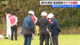 「落ちた実はきれいに食べられていた」柿の木のクマと“にらみ合い”県内5例目の『緊急銃猟』新潟県五泉市|TBS NEWS DIG
