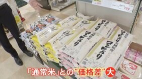 小泉大臣「コメ流通はブラックボックス」&nbsp;卸売業者は「真実を別の方向に向かせている」…備蓄米放出で価格どうなる|TBS NEWS DIG