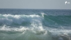 伊豆の海岸で水難事故相次ぐ 河津町で埼玉県の男性、東伊豆町では茨城県の男性 計2人が死亡＝静岡|TBS NEWS DIG