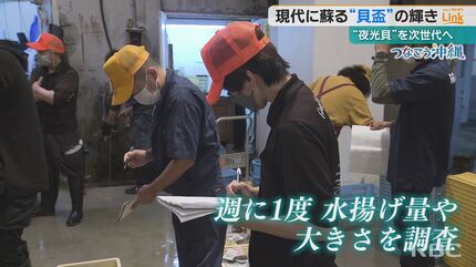 ありがとう価格☆沖宮神社ドルフィン夜光貝☆円満な関係回復オルゴ