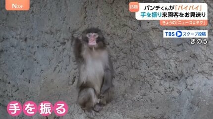 子ザルの「パンチくん」閉園アナウンスに合わせて来園者にバイバイ