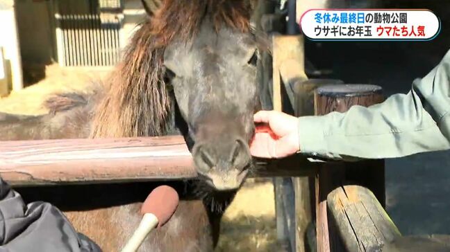冬休み最終日の平川動物公園 干支のウマは3種類 ウサギにはお年玉 受験のお守りも|TBS NEWS DIG