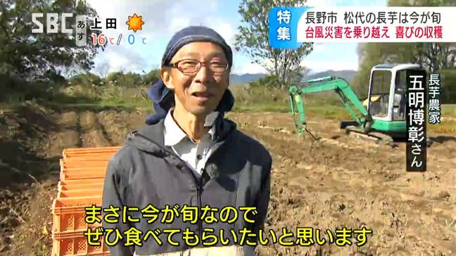 「大地の恵みを存分に吸収してうまいに決まってるんですよ」朝食バイキングに登場で評判の「長芋のとろろかけ放題」その裏には台風19号での大打撃から農地を再生させた生産者の決意と苦労が「作らない選択肢はない」|TBS NEWS DIG