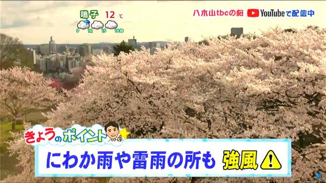 「にわか雨や雷雨の所も 東部では警報級の風に注意」16日 宮城の天気 tbc気象台|TBS NEWS DIG
