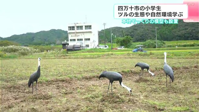 「ツル来てね~」高知県四万十市の小学生 ツルの生態や自然環境学ぶ|TBS NEWS DIG