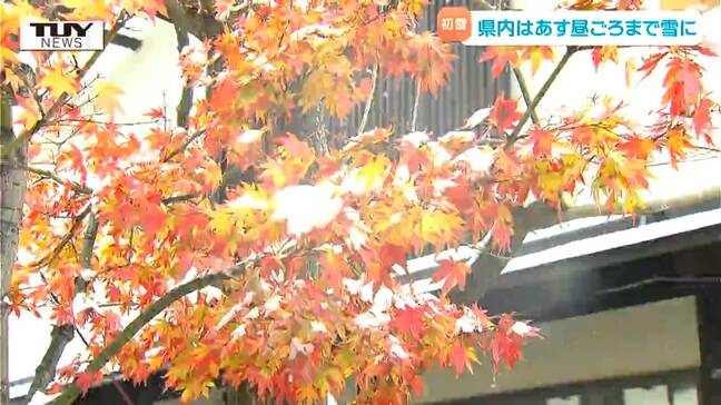 雪景色を楽しむ大勢の観光客の姿も！ 山形地方気象台が初雪の観測を発表（山形）|TBS NEWS DIG