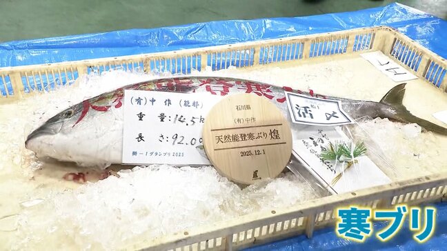 富山湾の冬の王者“寒ブリ”が不漁で「ひみ寒ぶり宣言」出せず…一方で山口県でブリが豊漁に!?一体なぜ?|TBS NEWS DIG