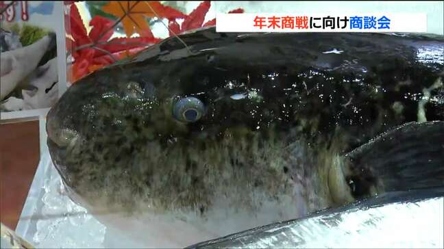 イセエビ、タラバガニ、アワビ、フグ…年末商戦に向け自慢の魚介、水産加工品アピール 仙台|TBS NEWS DIG
